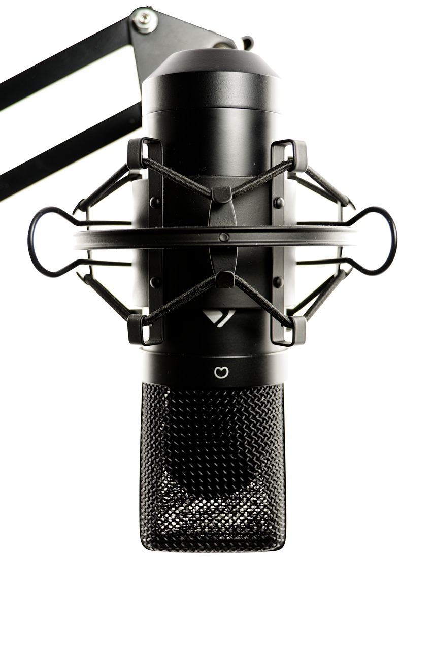 studio, microphone, vocal microphone